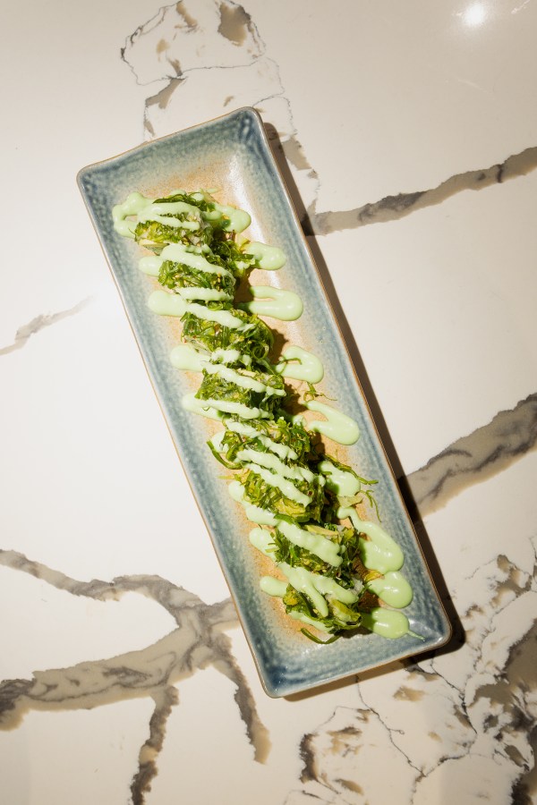 Sashimi course plated on a long ceramic dish, photographed for Opal Group